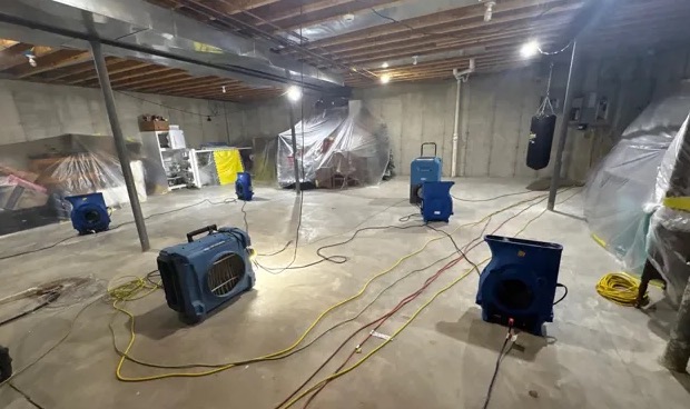 Basement Mold Cleanup in Addison, TX