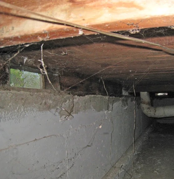 Crawlspace Water Damage Cleanup in Addison, TX