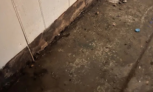 Sewage Cleanup & Disinfection in Forest Grove, TX