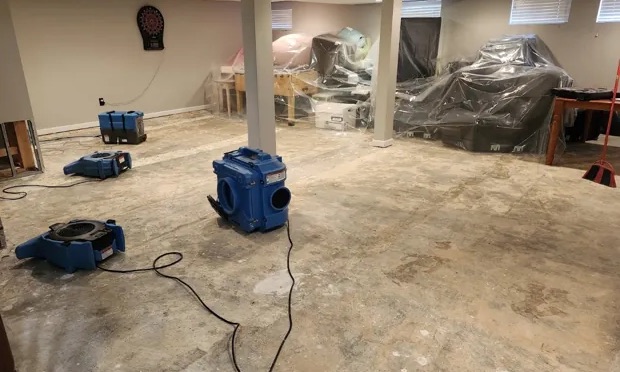 Moisture Detection Services in Prosper, TX
