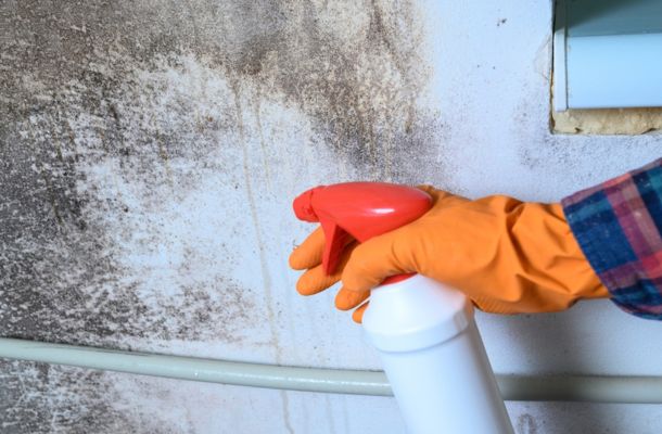 Mold Remediation Allen, Texas