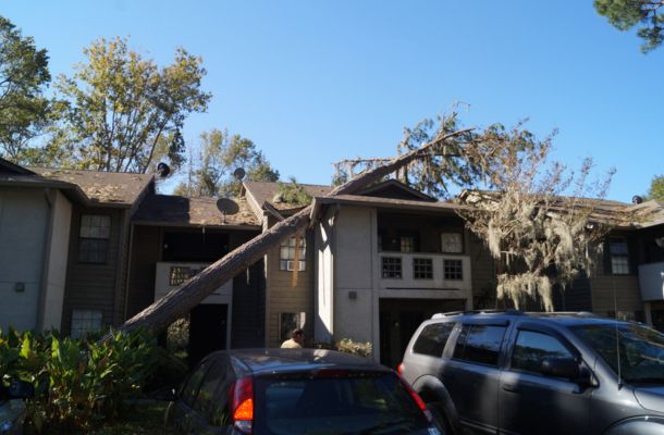 Storm Damage Restoration Allen, Texas